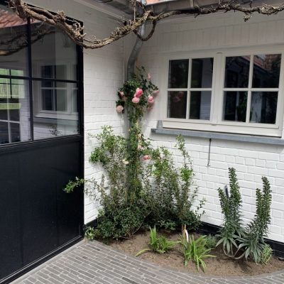 totaalrenovatie met tuin